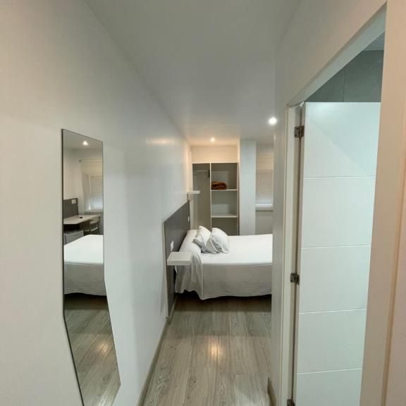 290593651